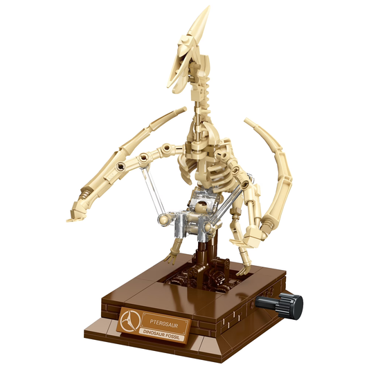 Joycorwn Pterosaur Dinosaur Fossil Model Building Set with Movable Joints, Gear-Driven Movement and Display Base, Display Models Collectible Gift for Dinosaur Fossil Enthusiasts(188 PCS)